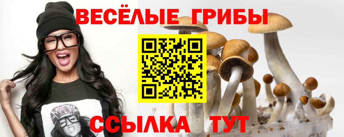 Белгород  Псилоцибиновые грибы прущие грибы  Вход с VPN 